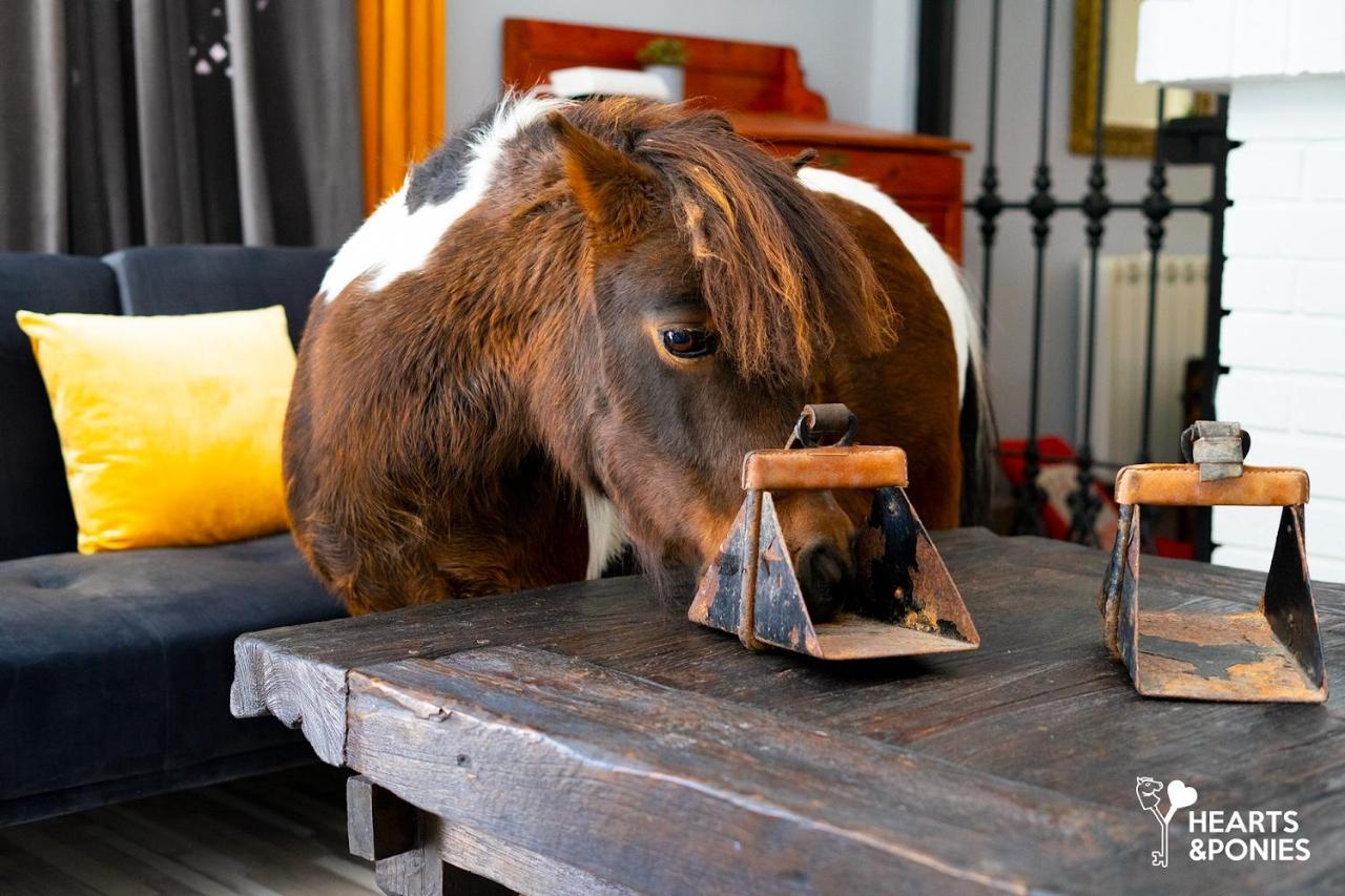 Hearts & Ponies Apartamentos Con Piscinas Privadas Cerca De La Warner Chinchón Εξωτερικό φωτογραφία